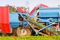 Two row Carrot Picker processing rows of ripe Carrots. Royalty Free Stock Photo