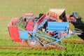 Two row Carrot Picker processing rows of ripe Carrots. Royalty Free Stock Photo