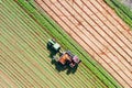 Two row Carrot Picker processing rows of ripe Carrots. Royalty Free Stock Photo