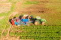 Two row Carrot Picker processing rows of ripe Carrots. Royalty Free Stock Photo