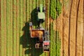 Two row Carrot Picker processing rows of ripe Carrots. Royalty Free Stock Photo