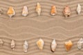 Two rows of seashells lying on the sand, with space for text. Royalty Free Stock Photo