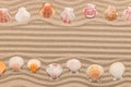 Two rows of seashells lying on the sand, with space for text. Royalty Free Stock Photo