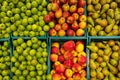 Two rows of various fruits plastic containers at supermarket. Green and red apples and pears top view.