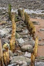 Wooden posts at low tide, Lynmouth, Devon.