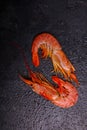 Two royal prawns on a dark background. Royalty Free Stock Photo
