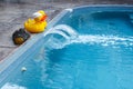 Two rubber ducks and a rubber crocodile head at edge of swimming pool Royalty Free Stock Photo