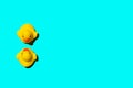 Two rubber ducks on teal background; summer wallpaper with copy Royalty Free Stock Photo