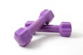 Two rubber purple dumbbell