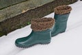 Two rubber winter green boots with brown fur on white snow Royalty Free Stock Photo