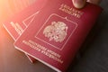 Two russian passports in hand in the sunlight. Toned