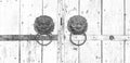 Two rusty ancient lion head door knocker decorate on white grunge wooden door in Chinese style and black and white style Royalty Free Stock Photo