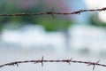 Two rusty barbed wire fence Royalty Free Stock Photo