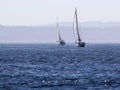 Two Sailboats On Deep Blue Water