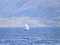 Two sailboats at sea Royalty Free Stock Photo