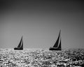 Two sailing boats silhouette in the high sea black and white Royalty Free Stock Photo