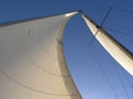 Two sails: genoa and Mainsail Royalty Free Stock Photo