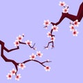 Two Sakura branches on a purple background.