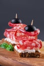 Two salami canapes Royalty Free Stock Photo