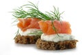 Two salmon canapes with fresh dill garnish, isolated on white b