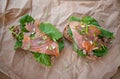 Two salmon sandwiches Royalty Free Stock Photo