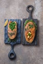 Two salmon steaks with vegetables on wooden boards, top view copy space Royalty Free Stock Photo