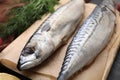 Two tasty salted mackerels on table, closeup