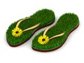 Two sandals with green grass and yellow flowers