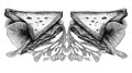 Monochrome Sandwich Drawing Detailed Hand-Drawn Food Art Royalty Free Stock Photo