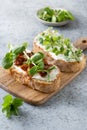 Sandwich on toast with fresh radish microgreen and cream cheese on grey background. Close up