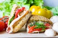 Two sandwiches for a quick snack Royalty Free Stock Photo