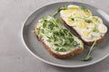 Two sandwiches on toast with peas microgreen and quail eggs on gray plate on gray concrete background