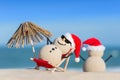 Two Sandy Christmas Snowmen are enjoying the beach Royalty Free Stock Photo