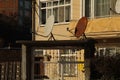 Two satellite dish one is rusted and broken Royalty Free Stock Photo