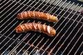 Two sausages on a grill Royalty Free Stock Photo