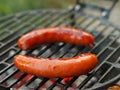 Two sausages on a grill Royalty Free Stock Photo