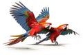 Two Scarlet Macaws - Isolated on White 3D Illustration AI generated animal ai