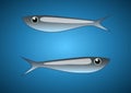 Two silver ornamental sardines. Vector illustration