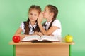 Two school girl sharing secrets sitting at a desk from book