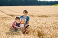 Two school kids boys and little sister, preschool girl hugging on wheat field. three happy children playing together and having Royalty Free Stock Photo