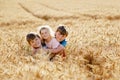 Two school kids boys and little sister, preschool girl hugging on wheat field. three happy children playing together and Royalty Free Stock Photo