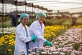 Two Scientist women with head cap and gloves holding lab sheet of flower and researching experiment