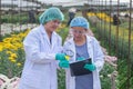 Two scientist women with lab gown and hair cover stand in front of multi-color flowers.smiling with the concept of good experiment Royalty Free Stock Photo