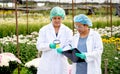 Two scientist women work together in experimental field of flower garden, one woman check the product and the other one record