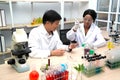 Two scientists are working in laboratory.Young female researcher and her senior supervisor are doing investigations on laboratory. Royalty Free Stock Photo