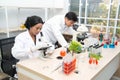 Two scientists are working in laboratory.Young female researcher and her senior supervisor are doing investigations on laboratory. Royalty Free Stock Photo