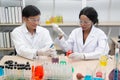 Two scientists are working in laboratory.Young female researcher and her senior supervisor are doing investigations on laboratory. Royalty Free Stock Photo