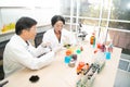 Two scientists are working in laboratory.Young female researcher and her senior supervisor are doing investigations on laboratory. Royalty Free Stock Photo