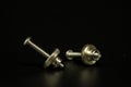 Two screws Royalty Free Stock Photo