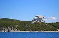 Two sea-gulls with wings wide spread are flying over water.